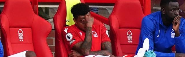 引援17人，被热刺教做人，诺丁汉森林就等世界杯了