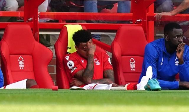 引援17人，被热刺教做人，诺丁汉森林就等世界杯了