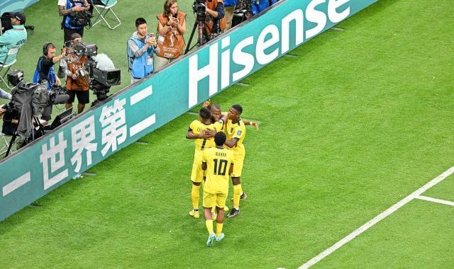 开云体育官方入口-厄瓜多尔的欢庆有他一份 队友：胜利献给卡斯蒂略