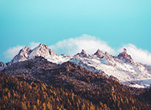 开云体育官方入口-快船121-105轻取篮网 哈登31+4+6伦纳德26分