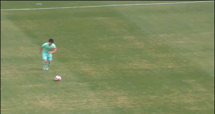 1703576454246088293.gif 杜月徵.gif