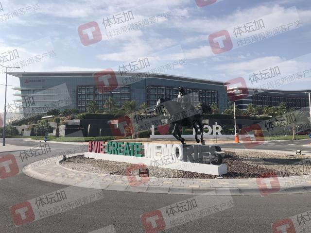 1704029758709069715.jpg 小镇大门口的阿拉伯骑士塑像,远处为酒店。.jpg